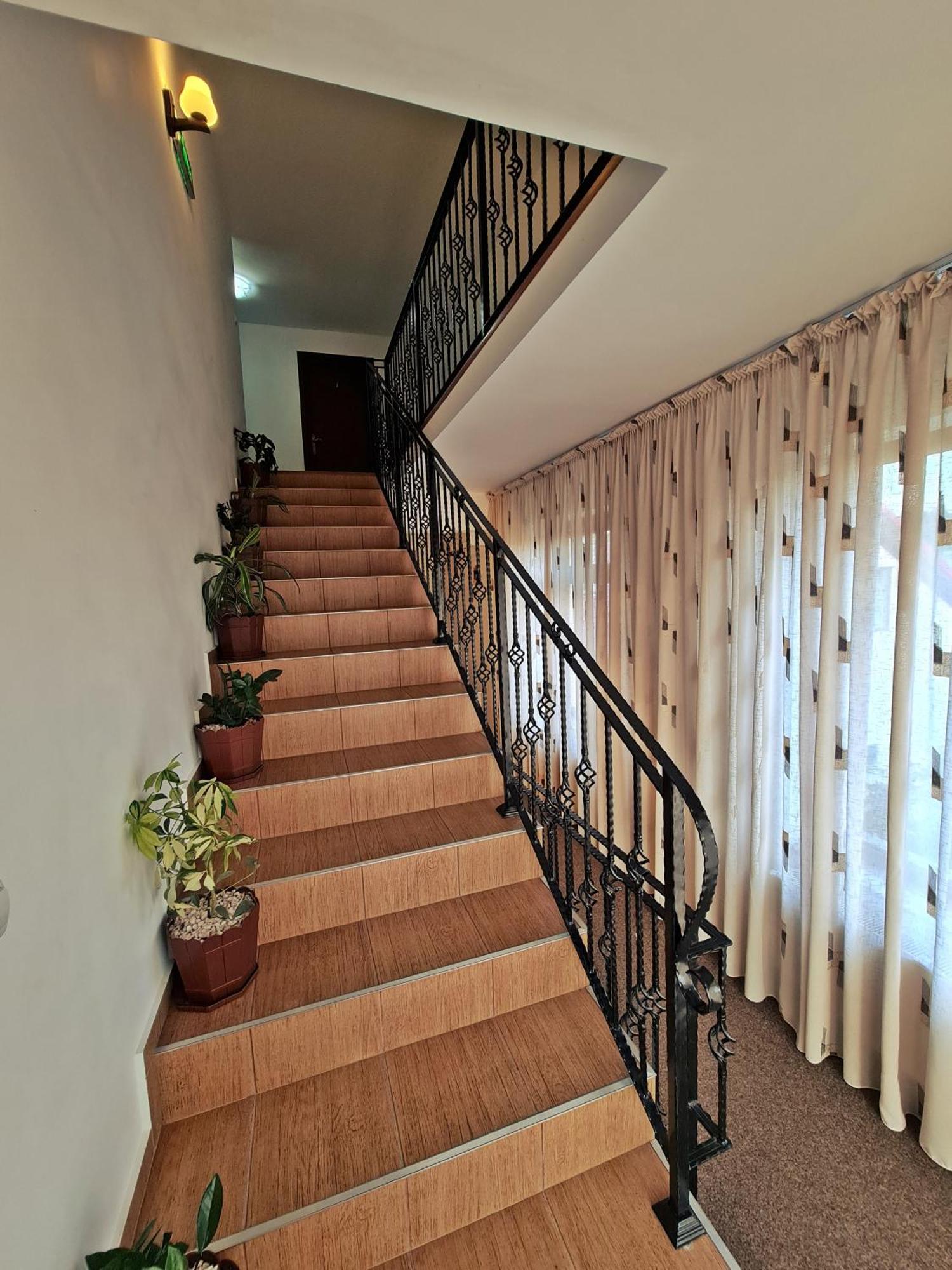 Casa Leu Hotel Curtea De Arges Ngoại thất bức ảnh